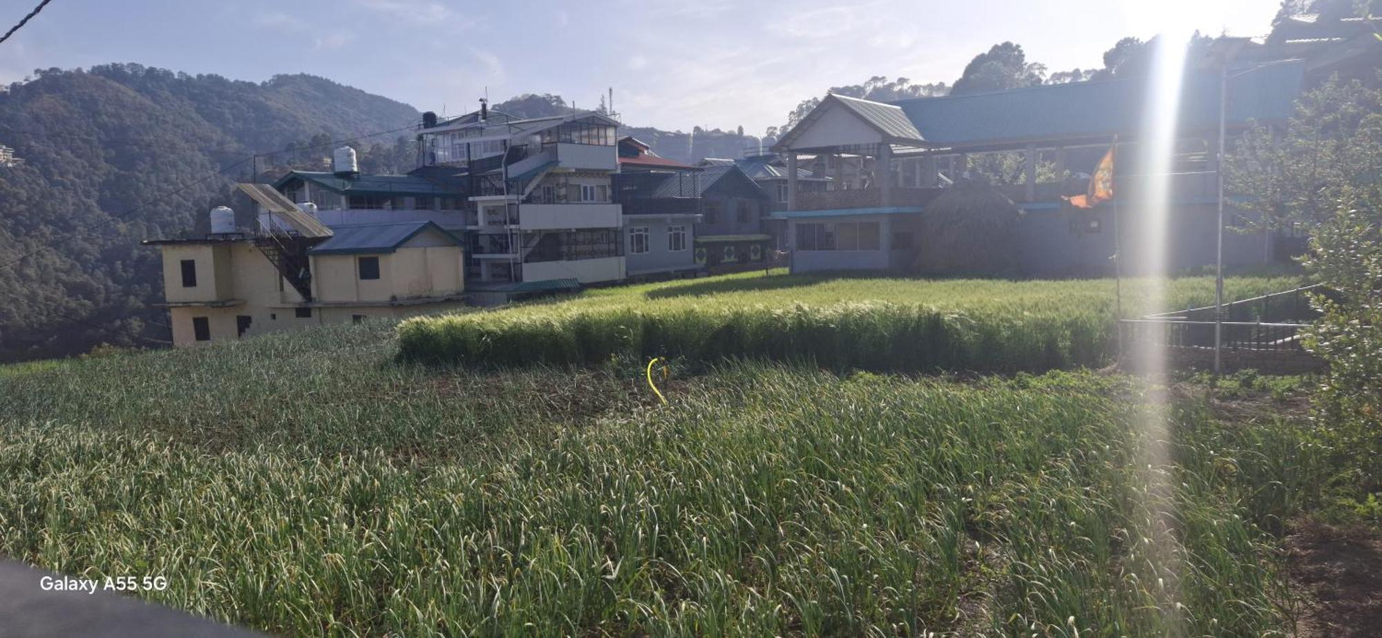 Keshav Niwas Homestay Shimla Esterno foto
